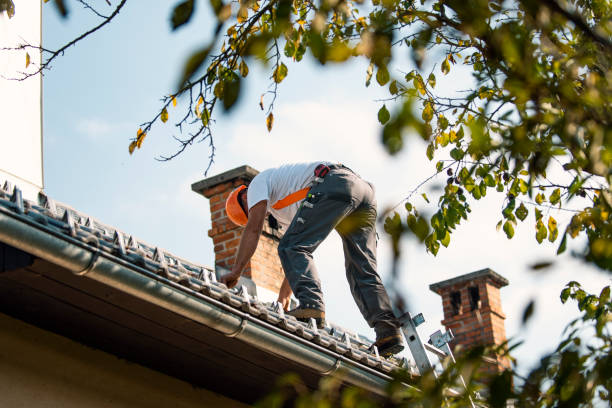 Steel Roofing in Citrus Heights, CA